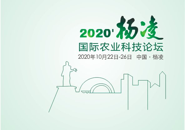 相关阅读