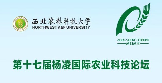 可按栏目继续浏览相关条目