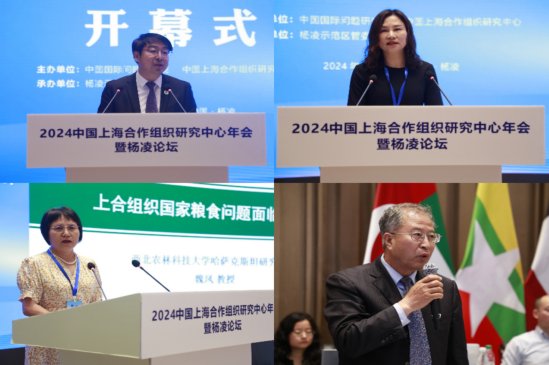 本站按公开材料组织页面
