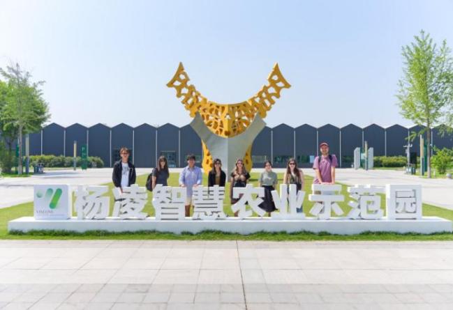 在财神app下载最新版下载开展了为期