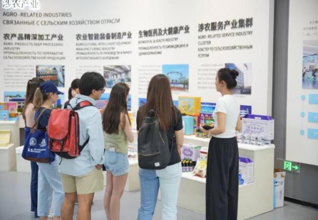 2025年5月21日至6月3日
