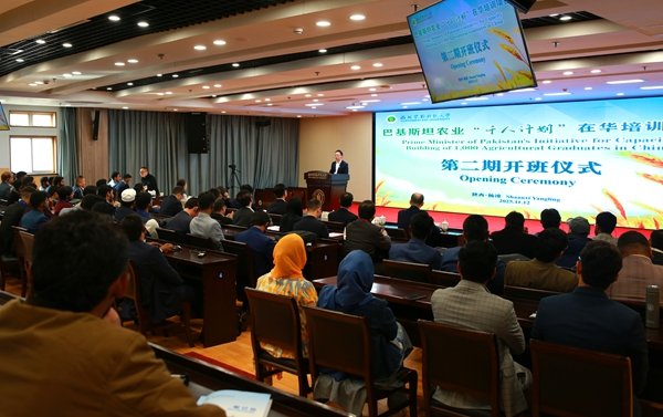 可按栏目继续浏览相关条目