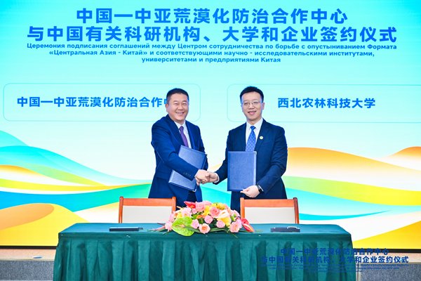 您是第位访客