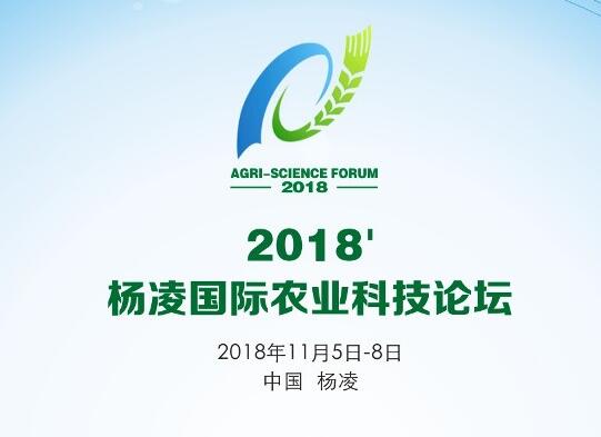 需要原文时请核对应栏目发布页