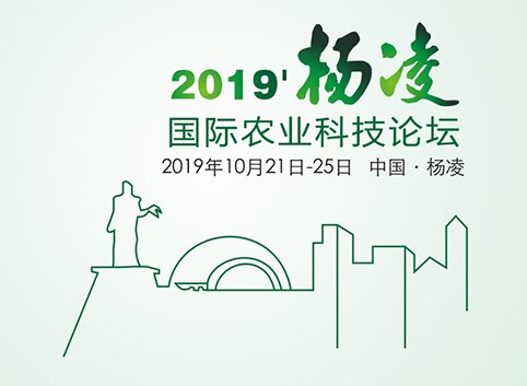 本站按公开材料组织页面