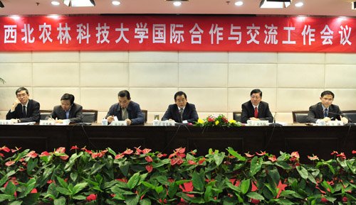 全面实施国际化战略 加快推进建设世界
