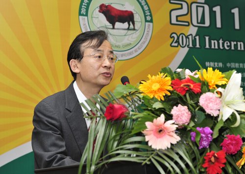 来自美国