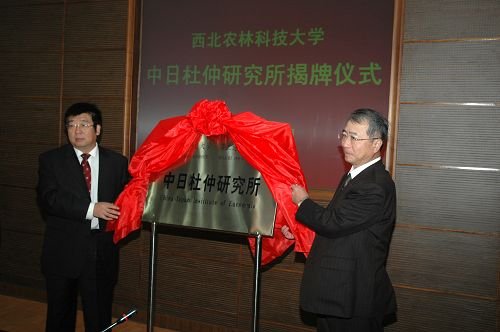 仪式现场 吴普特副财神手机版下载官方