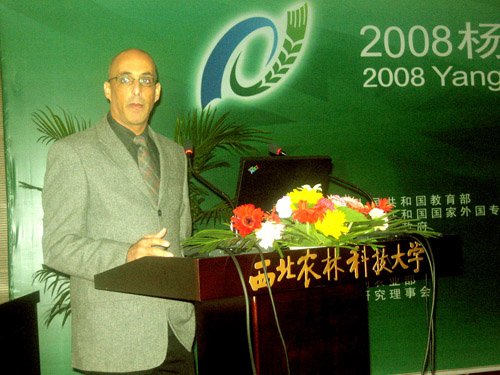 财神手机版下载