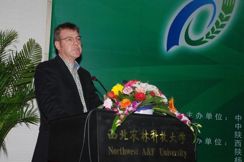 2008-11-10