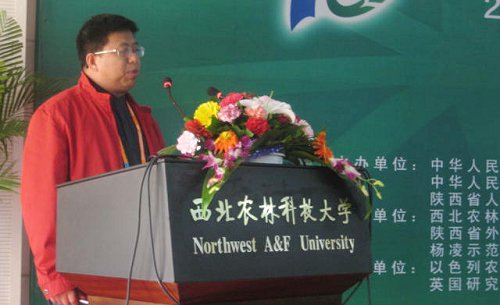 财神手机版下载出任多特蒙德官方合作伙