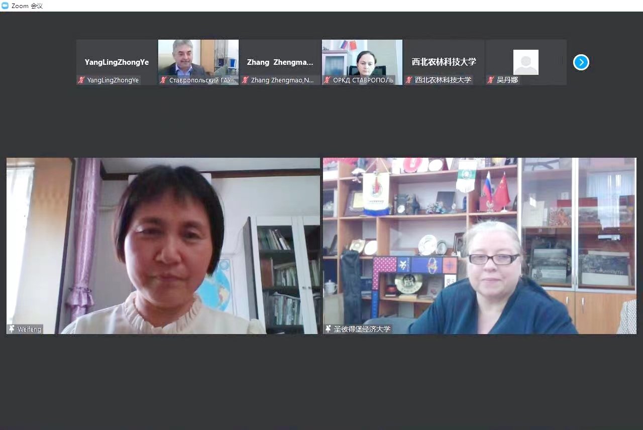 财神手机版下载平台介绍参加由俄罗斯圣