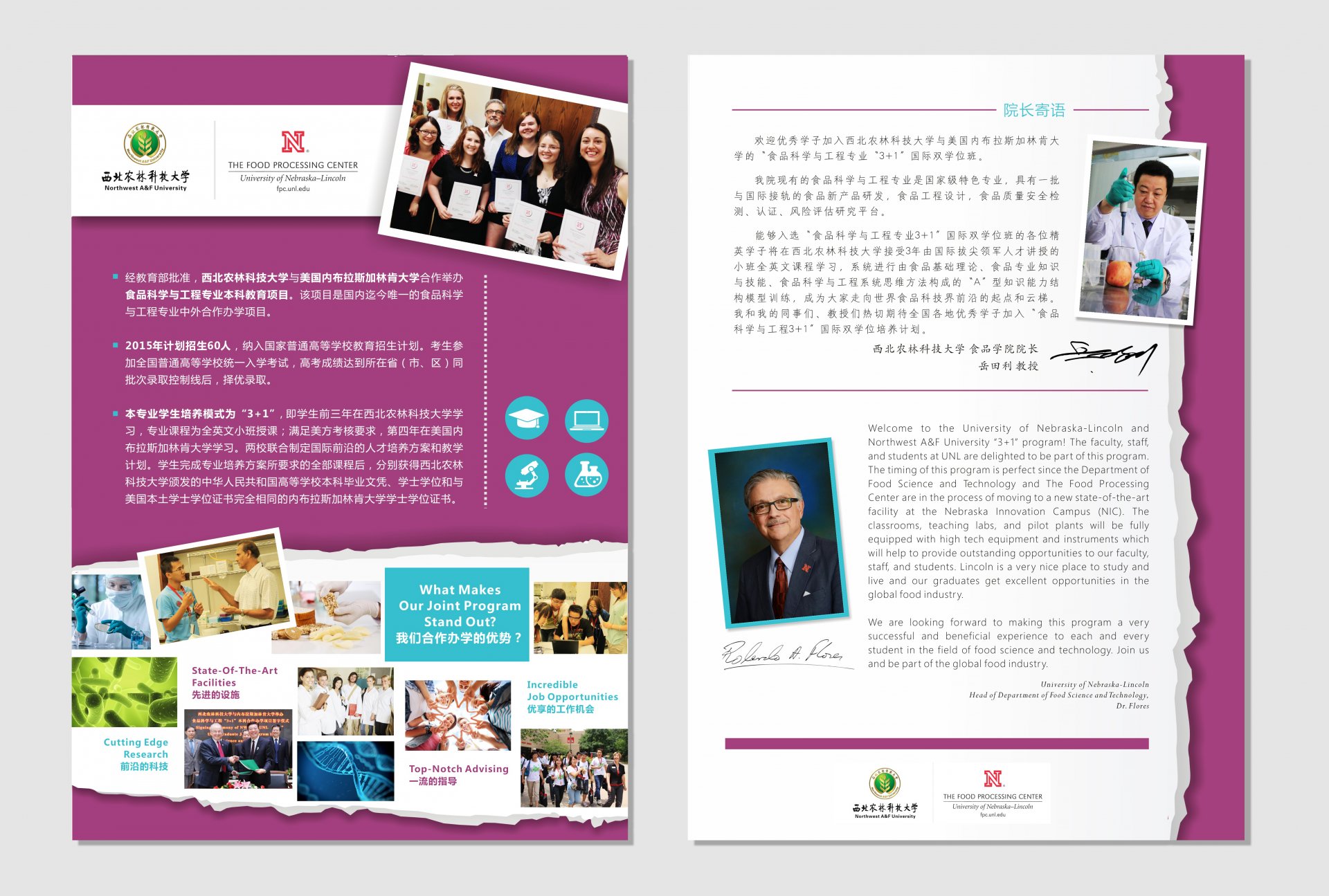 中外合作办学评估文件（见附件）